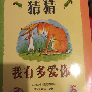 猜猜我有多爱你