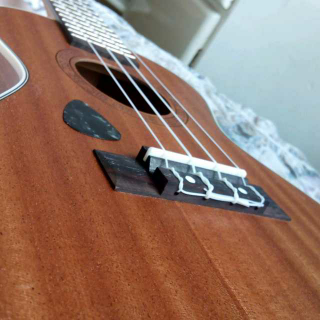 我的 ukulele 5 (外面的世界)   晚安~