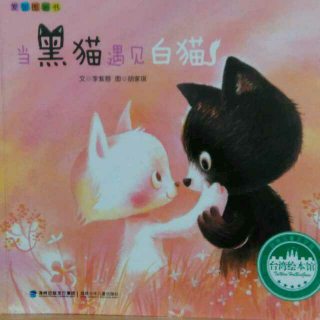 当黑猫遇上白猫