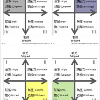 Linda学用精油：精油与情绪管理