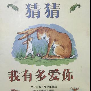 绘本故事：猜猜我有多爱你