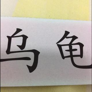 词-乌龟