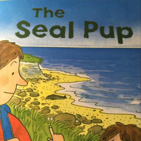 ort dd 4-6 the seal pup