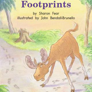 15.06.16 Footprints