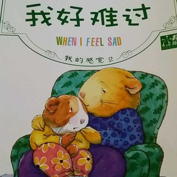 情感教育绘本《我好难过》