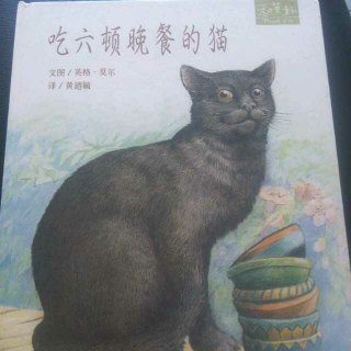 孟孟老师讲故事【185】吃六顿晚餐的猫