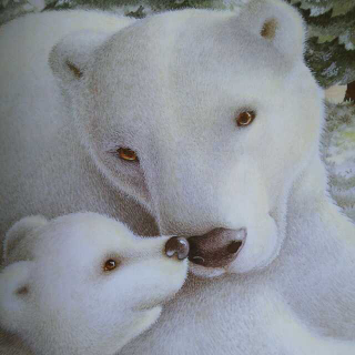 雪熊