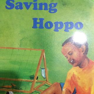 Saving Hoppo 