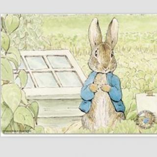 315【儿童故事】彼得兔的故事