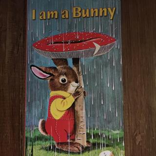 i am a bunny