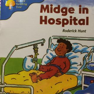 3-25 Midge in hospital 