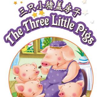 【毛毛阿姨的故事屋】三只小猪盖房子（张书榕的生日故事）
