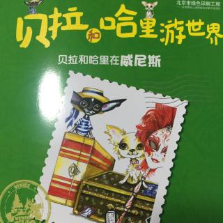 贝拉和哈里在威尼斯