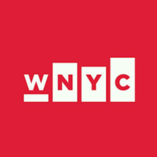 纽约公共电台 WNYC 访谈前驻沙特大使。