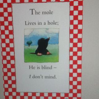 鹅妈妈 53 the mole lives in a hole