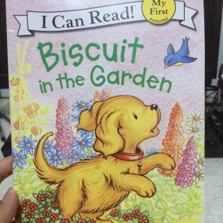 【艾玛读绘本】饼干狗🐶系列之Biscuit in the garden（英文）