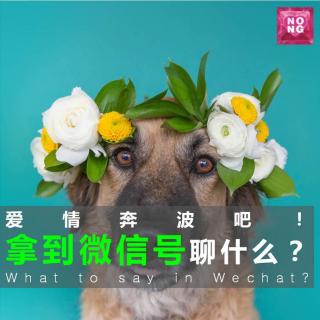 爱情奔波吧 – 拿到微信号聊什么？