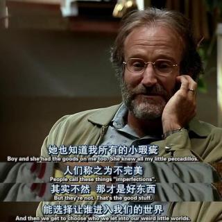Good Will Hunting 【心灵捕手- about your imperfections】