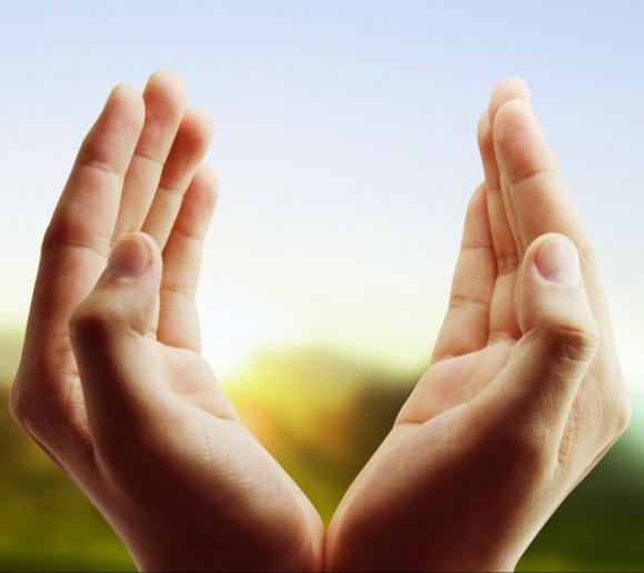 科普知识:灵巧的双手