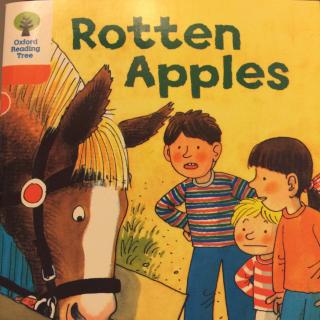 6-08Rotten apples