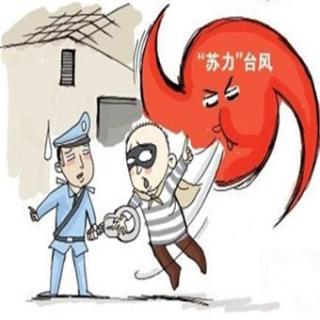 被台风吹昏了头去盗窃