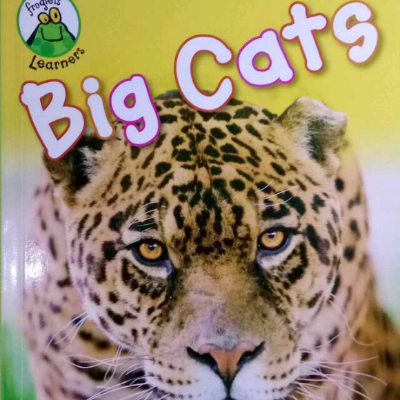 big cats