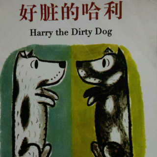 《好脏的哈利》汪培珽中文书单0—2岁阶段