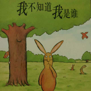 《我不知道我是谁》汪培珽中文书单0—2岁阶段