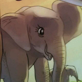 小象奥菲1