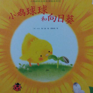 0033 绘本故事《小鸡球球和向日葵》