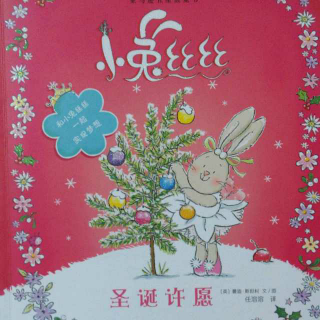 0045 绘本故事《小兔丝丝—圣诞许愿》