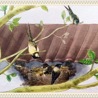 春燕子窝