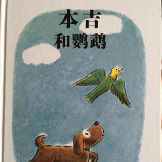 本吉和鹦鹉