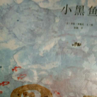 《小黑鱼》夏旌程讲述