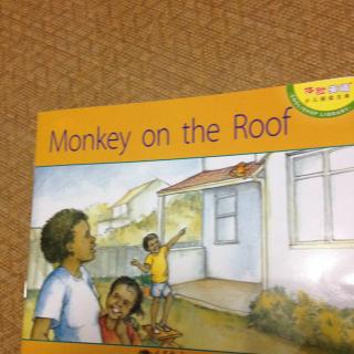 L2-4Monkey on the Roof
