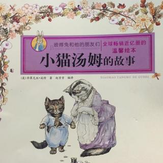 【彼得兔和他的朋友们】小猫汤姆的故事