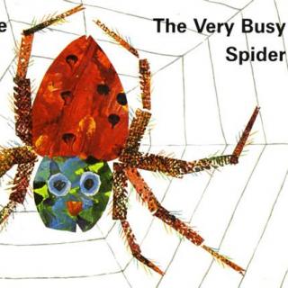 《the very busy spider》Bell姐姐