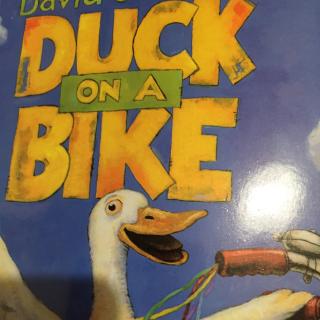 Duck on a bike骑自行车的鸭子