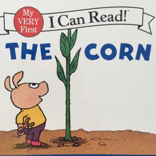 The corn