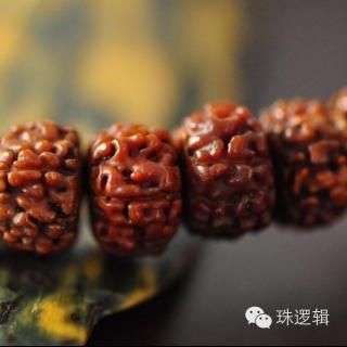 金刚菩提●皮色