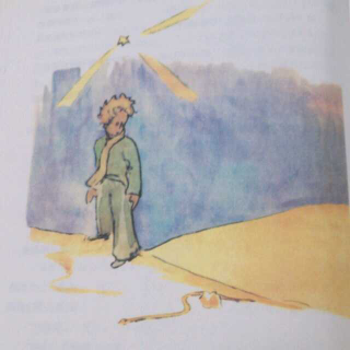 En_17: The little prince and a snake