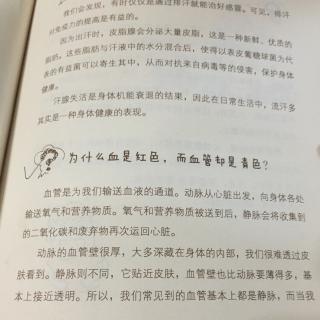 为什么血是红色，而血管却是青色？