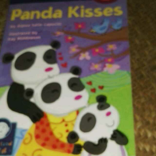 PANDA KISSES