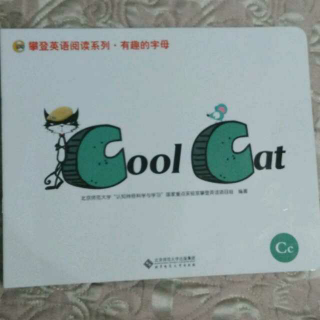 20150805Cool Cat