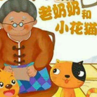 老奶奶和小花猫_小彩虹
