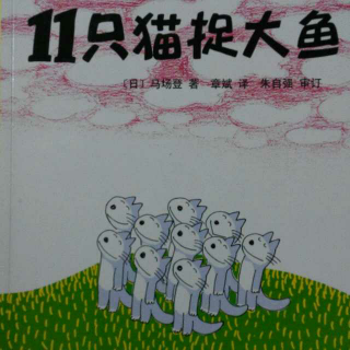 0097 《11只猫捉大鱼》中文绘本故事 11只猫系列图画故事书