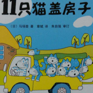 0098 《11只猫盖房子》中文绘本故事 11只猫系列图画故事书