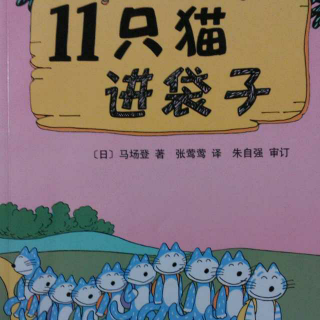 0099 《11只猫进袋子》中文绘本故事 11只猫系列图画故事书