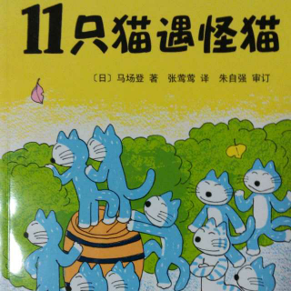 0095 《11只猫遇怪猫》中文绘本故事 11只猫系列图画故事书