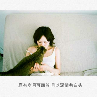 vol.15:小野狗与小蝴蝶。 文/张嘉佳